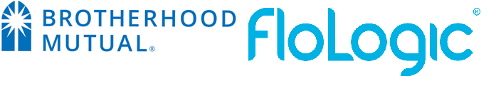 BMI FloLogic Logos 2